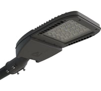 Светильник АСТЗ ДКУ64-90-101 Premier LC 750 1201590101