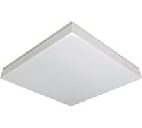 Светильник АСТЗ ДПО46-37-801 Contur F 840 1046437801