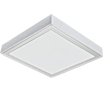 Светильник АСТЗ ДПО17-38-002 AWP 940 1286838002