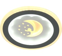 Настенно-потолочный светильник J-LIGHT LOONA 5596/50C