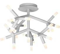 Потолочный светильник iLEDEX Savage белый FS-017-X25 WH