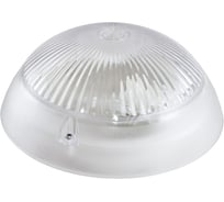 Светильник Led DIODEX Люмос Регулар 6Вт, 5500К, прозрачный, белый 4603789756111