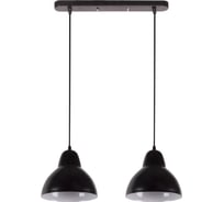 Светильник декоративный подвесной Apeyron 2хЕ27, мах 40Вт, 485х700х205мм, IP20, металл, чёрный, крепление планка, без лампы 16-67