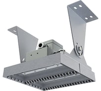 Светильник АСТЗ ДСП36-55-002 Titan Ех 750 1256505002