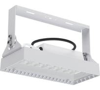 Светильник АСТЗ ДСП19-35-101 Quant 750 1229503101