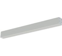 Светильник АСТЗ ДПО02-50-021 Line RD 930 1224750021