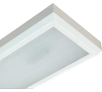 Светильник АСТЗ ЛПО05-2x18-021 OPL 1073218021