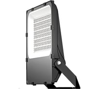 Светильник АСТЗ ДО08-300-501 FLG 750 1202530501