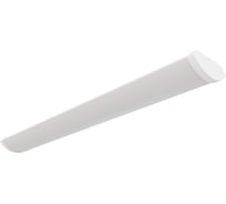 Светильник АСТЗ ДПО46-2x11-004 Luxe LED 1056211004