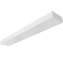 Светильник АСТЗ ЛПО46-2x28-811 Contur HF RD 1046228871