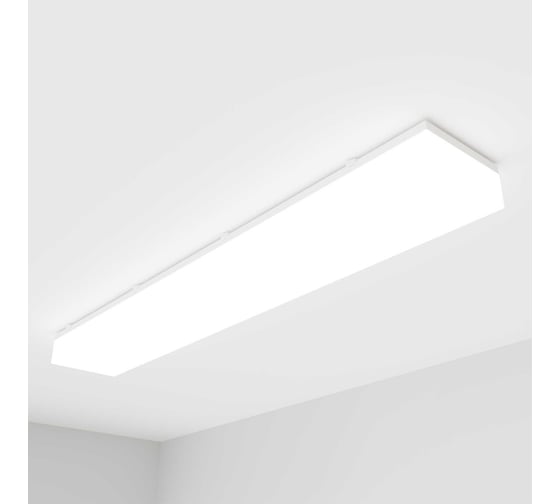 Светильник АСТЗ ЛПО46-2x54-811 Contur HF RD 1046254871
