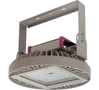 Светильник АСТЗ ДСП03-180-212 Orion RA 750 1228518212