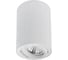 Точечный накладной светильник ARTE LAMP SENTRY A1566PL-1WH 1