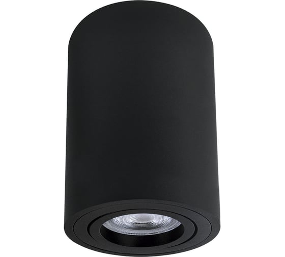 Точечный накладной светильник ARTE LAMP SENTRY A1566PL-1BK