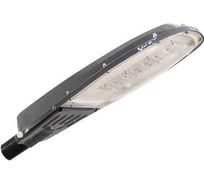 Светильник АСТЗ ДКУ17-60-001 750 1290506001