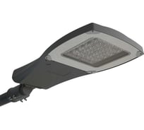 Светильник АСТЗ ДКУ66-60-002 Viking 740 1249106002