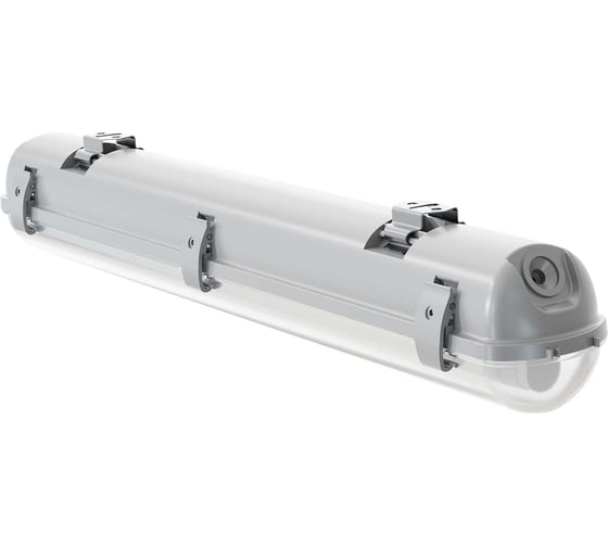 Светильник АСТЗ ДСП44-1x11-001 Flagman LED 865 1044111061