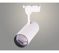 Светильник трековый РОСТОК GD183 20W, WH, белый, LED, 4000K, STB23 988369105