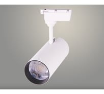 Светильник трековый РОСТОК GD183 30W, WH, белый, LED, 4000K, STB23 988369108