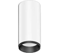 Светильник АСТЗ ДПО28-40-202 Tango 840 1247404102