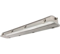 Светильник АСТЗ ЛСП67-2x36-011 Linkor HF 1067236011
