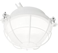 Светильник АСТЗ НПП03-2x40-003 1003240003