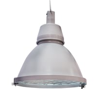 Светильник АСТЗ НСО17-60-002 Kupol G 1017060002