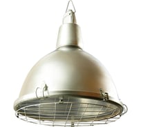 Светильник АСТЗ НСП17-500-042 1017500042