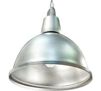 Светильник АСТЗ НСП17-500-002 1017500002