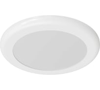 Светильник АСТЗ ДВО22-16-001 DLO 840 1244016001