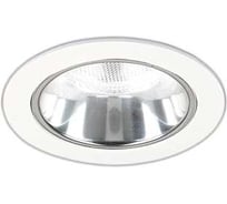 Светильник АСТЗ ДВО24-25-001 DLY 840 1164425001