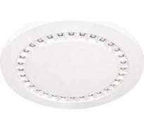 Светильник АСТЗ ДПО37-15-001 Punkt 840 1184415001