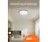 Светильник светодиодный Jazzway настенно-потолочный PPB OPAL 70W 6500K черный d460x55 IP20 5061026 7
