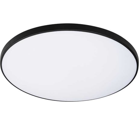 Светильник светодиодный Jazzway настенно-потолочный PPB OPAL 48W 4000K черный d370x55 IP20 5060968