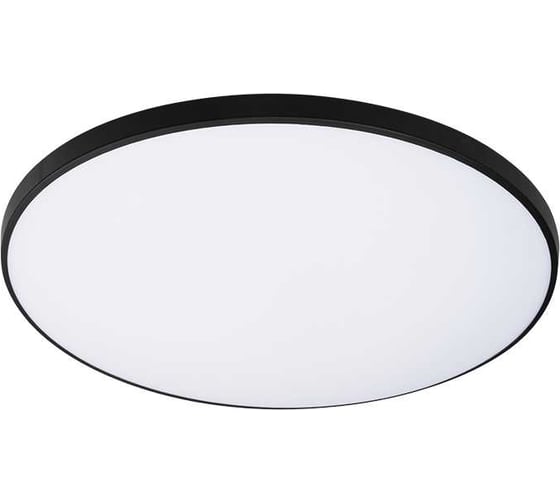 Светильник светодиодный Jazzway настенно-потолочный PPB OPAL 48W 4000K черный d370x55 IP20 5060968 1