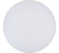 Светильник светодиодный Jazzway настенно-потолочный PPB OPAL 36W 4000K белый d300x55 IP20 5060845