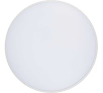 Светильник светодиодный Jazzway настенно-потолочный PPB OPAL 30W 4000K белый d260x55 IP20 5060814