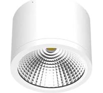 Светильник АСТЗ ДПО39-25-001 Cylinder 840 1193425001