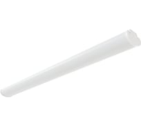 Светильник АСТЗ ДПО52-40-802 Optimus 940 1166840802