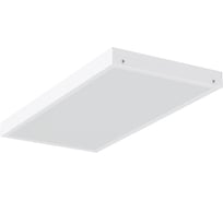 Светильник АСТЗ ДПО12-19-301 Universal Prizma 840 1200419301