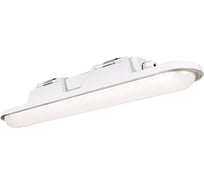 Светильник АСТЗ ДСП51-20-005 Leader Standart 840 1168420005.1