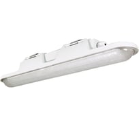 Светильник АСТЗ ДСП51-20-001 Leader 840 1168420001