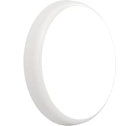 Светильник АСТЗ ДБО88-30-121 CDR RD 840 1140430121