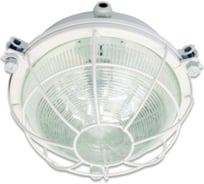 Светильник АСТЗ ДПП03-9-003 865 1003509003