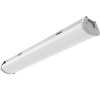 Светильник АСТЗ ДПО48-24-201 Prime Eco 840 1165424201