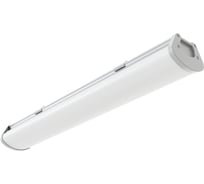 Светильник АСТЗ ДПО48-25-101 Prime 840 1165425101