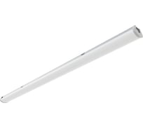 Светильник АСТЗ ДПО48-60-001 Prime 940 1165860001