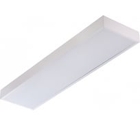 Светильник АСТЗ ДПО15-38-102 WP 930 1134738102