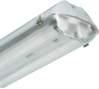 Светильник АСТЗ ЛСП44-2x36-012 Flagman RA 1044236042