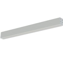 Светильник АСТЗ ЛПО02-54-001 Line 1224154001